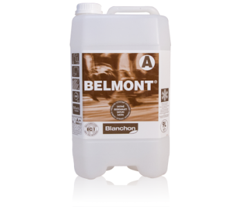 Blanchon Belmont lakier do parkietu